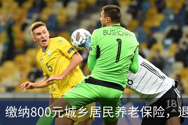 缴纳800元城乡居民养老保险，退休后每月能拿多少钱？
