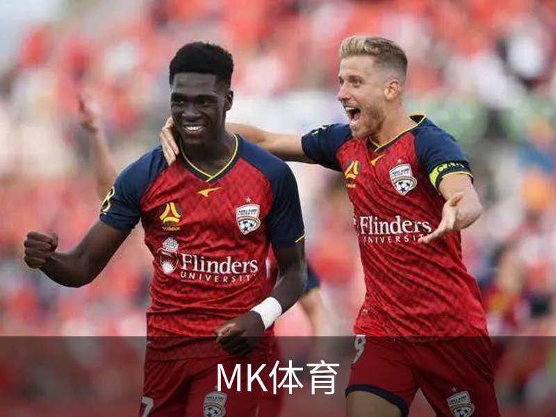 MK体育介绍
